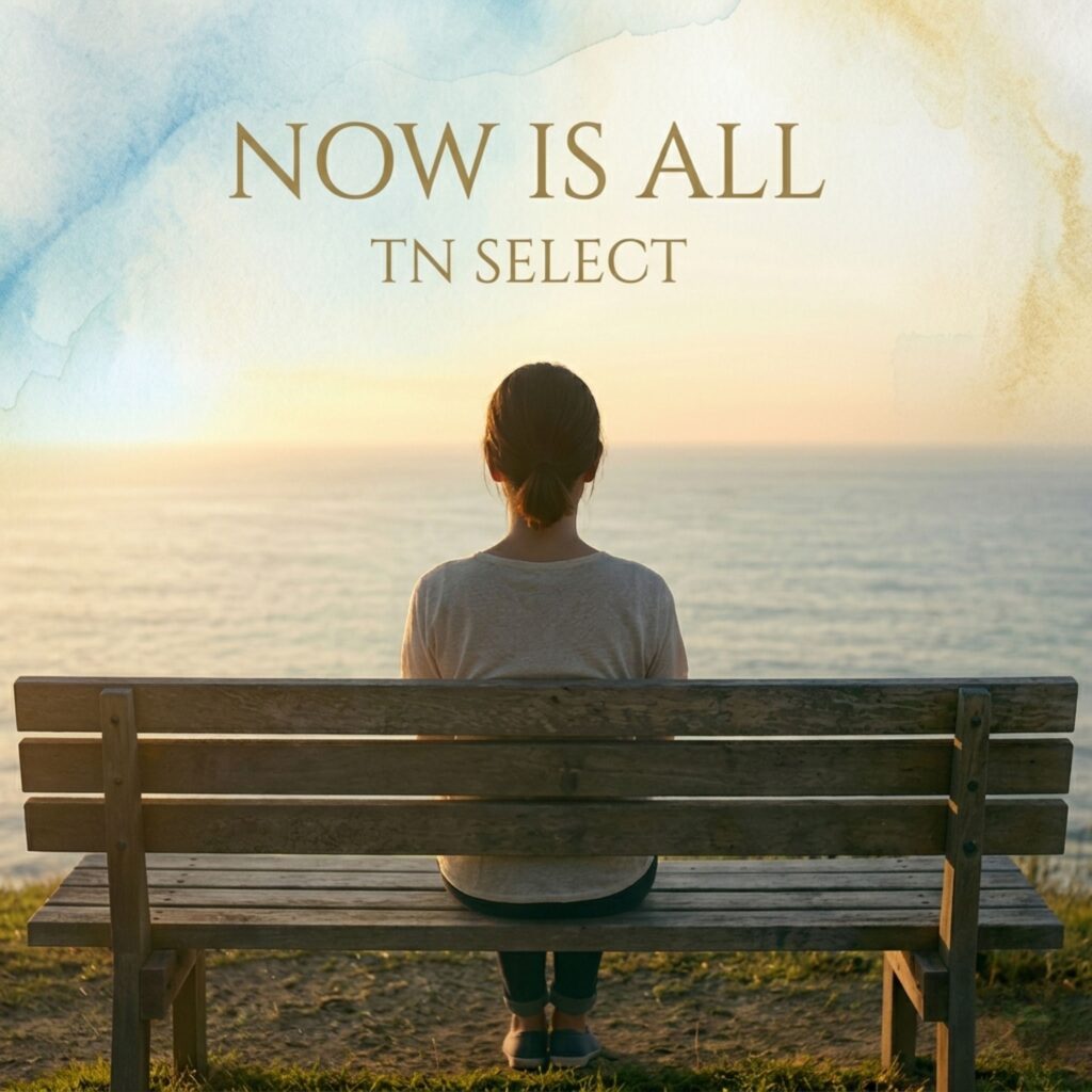 TN Selectオリジナル楽曲「Now is All」のカバー画像